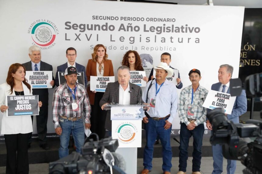 Productores de frijol exigen precios justos y transparencia en Chihuahua