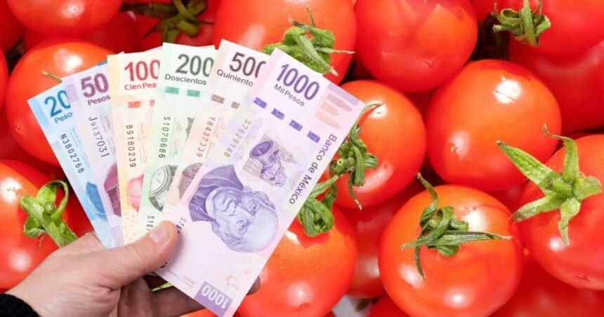 Precio de la canasta básica en México alcanza máximo histórico 2026