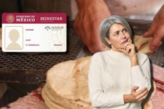 Adultos mayores obtienen 50% de descuento en tortillas con INAPAM