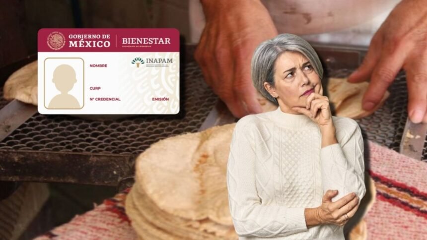 Adultos mayores obtienen 50% de descuento en tortillas con INAPAM
