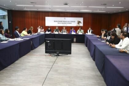 Senado amplía ley contra violencia política y económica de género