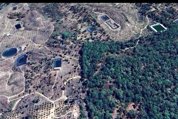 Diputados rechazan cambios del Senado a reforma de delitos ambientales