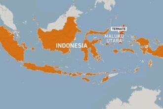 Sismo de 7.4 sacude Molucas en Indonesia; levantan alerta de tsunami