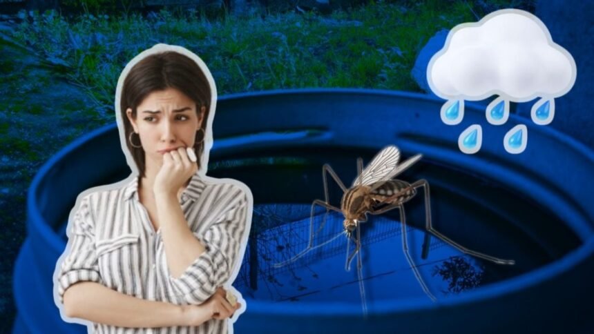 Cómo prevenir criaderos de mosquitos en casa durante lluvias 2026