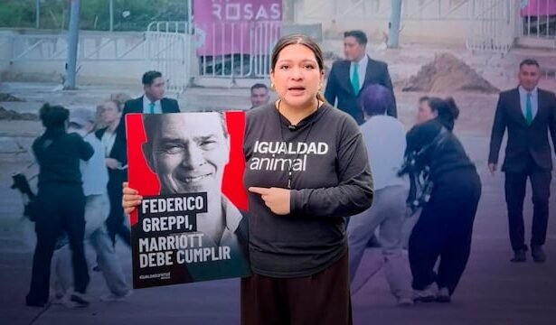 Agreden a activista de Igualdad Animal durante protesta en Jalisco