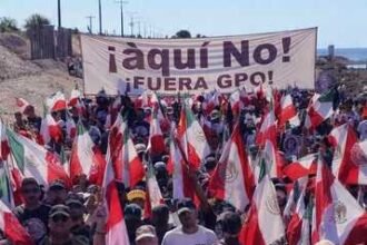 Planta de amoniaco en Sinaloa amenaza 22,500 ha de manglar