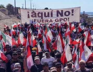 Planta de amoniaco en Sinaloa amenaza 22,500 ha de manglar