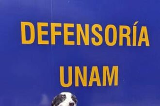 Perrita Epi brinda apoyo a víctimas de violencia de género en UNAM