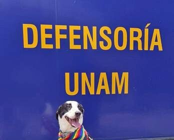 Perrita Epi brinda apoyo a víctimas de violencia de género en UNAM