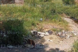 Vecinos alertan por abandono y basura en arroyo El Chamizal