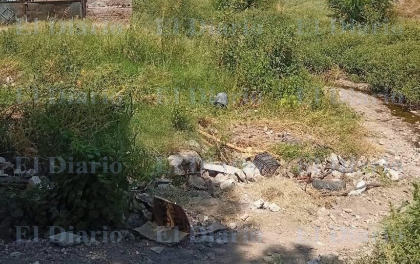 Vecinos alertan por abandono y basura en arroyo El Chamizal