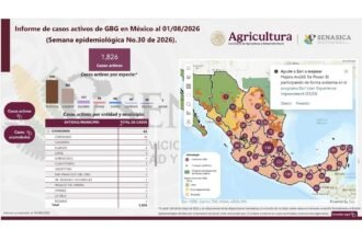 Casos de bacteria GBG suben a 63 en Chihuahua, confirman autoridades
