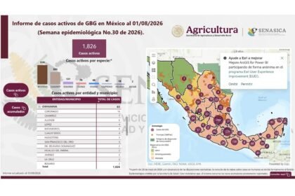 Casos de bacteria GBG suben a 63 en Chihuahua, confirman autoridades