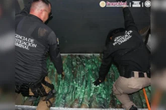 Aseguran 210 armas de EU y detienen a tres en Nuevo León
