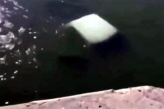 Mueren cuatro marinos tras caer camioneta al río en Tamaulipas