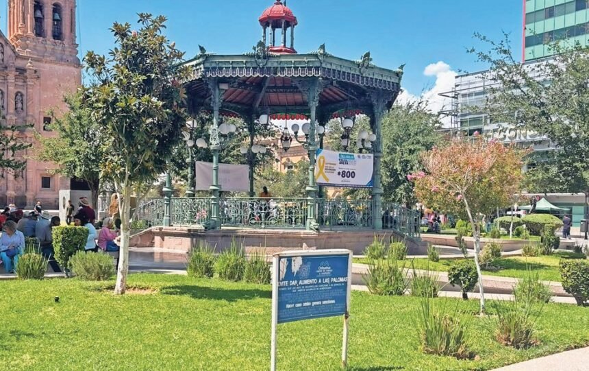 Chihuahua impulsa línea *800 para prevención del suicidio