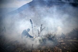 Incendio forestal amenaza parque natural emblemático de Colombia
