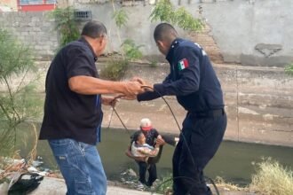 Delitos cibernéticos en México suben 25% en primer semestre 2024